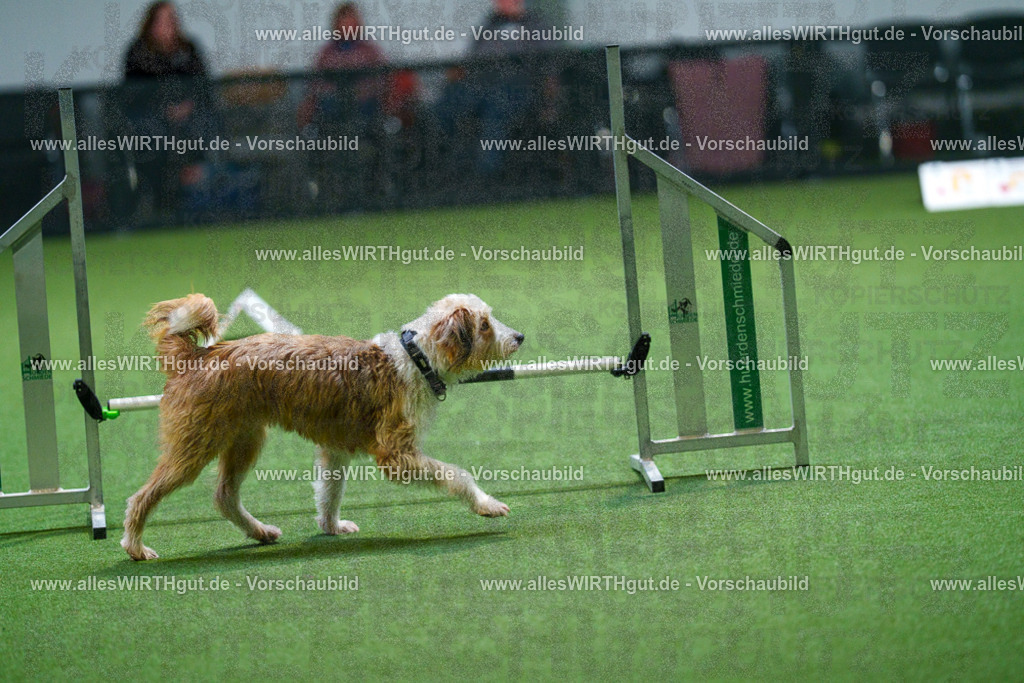7R503391 | Professionelle Tierfotografie in Mönchengladbach von Daniel Wirth (allesWIRTHgut). Liebevolle & natürliche Bilder von Hunden & Katzen für unvergessliche Erinnerungen.