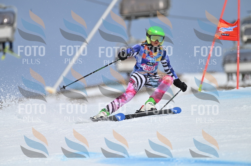 BGV_0703 | holidayphoto