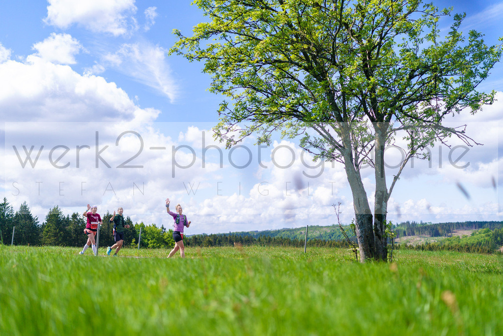 Rennsteiglauf Marathon 2025 | Marathon von Neuhaus/Rwg. nach Schmiedefeld/Rstg. am 17. Mai 2025