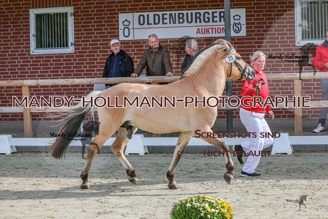 21-9 | mandyhollmannphotographie