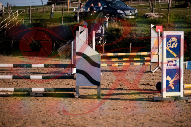 2026_10_03_Siefer-Hof_171356_Z81_10868225 | Professionelle Reitsport-, Turnier- und Eventfotografie von Robert Broda. Galerien mit ausgewählten und bearbeiteten Bildern direkt online ansehen und bestellen.