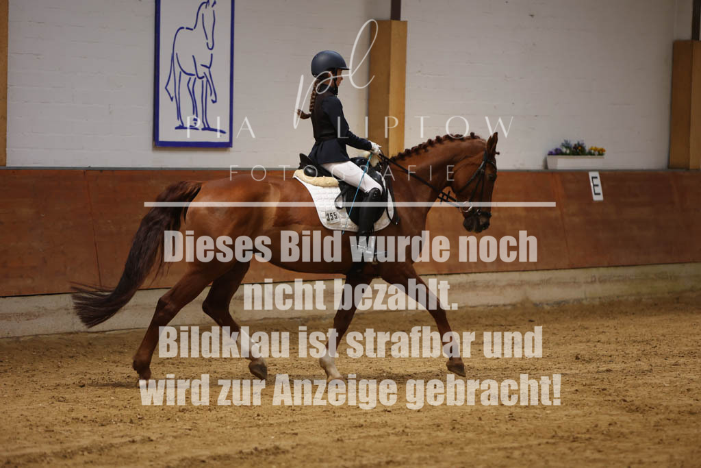 IMGM9867 | pl-fotografie