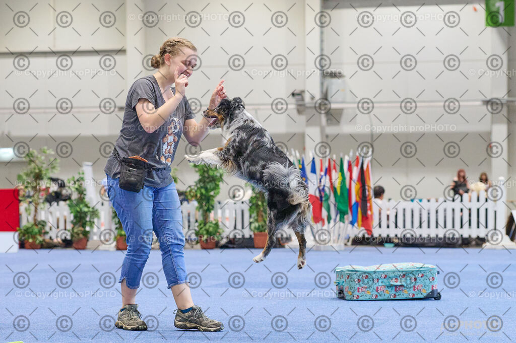 202406_ÖKV-IHA-Tulln24_DSC_4587 | proPHOTO - Realisiert mit Pictrs.com