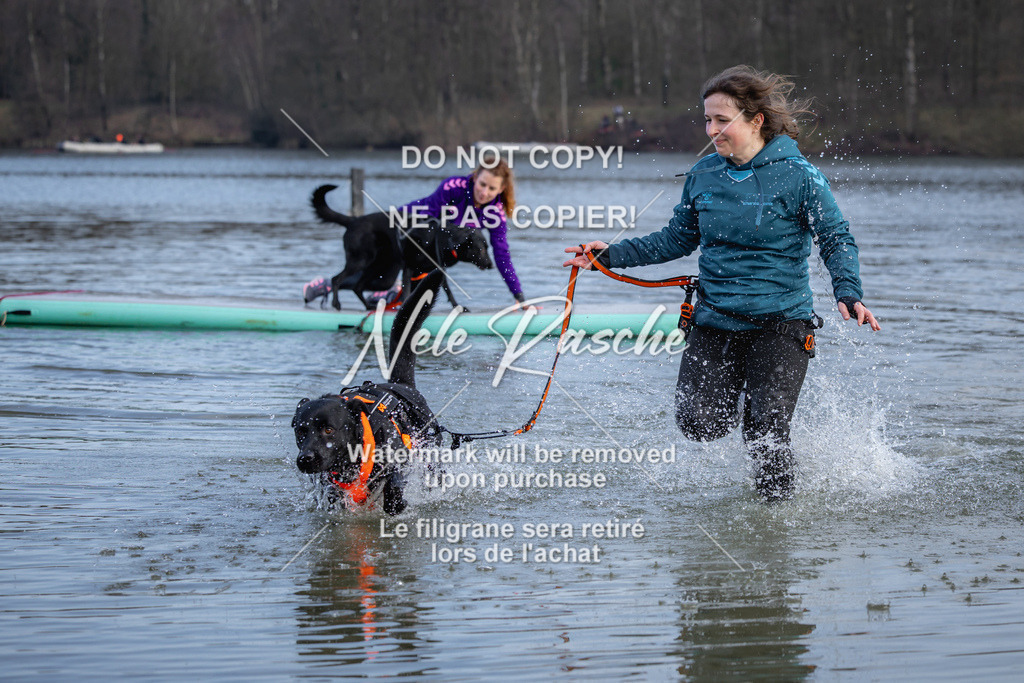 nelerasche_Hulsbeek_Sa1600-1700_648 | nelerasche