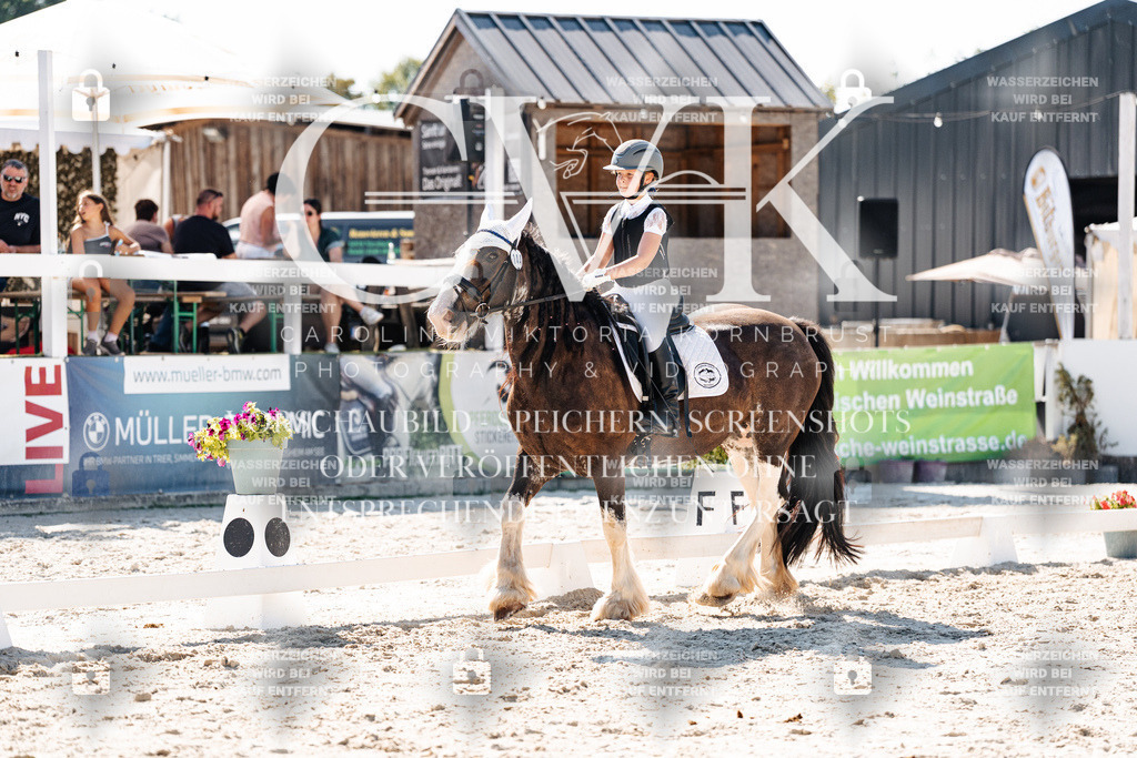 CK903013 | Turnierfotografie Pferdefotografie Trier Rheinland-Pfalz Pferdesport Reitsport Tierfotografie Sportfotografie Pferdevideo Pferdevideografie Equestrianvideography equestrianphotography  - Realisiert mit Pictrs.com