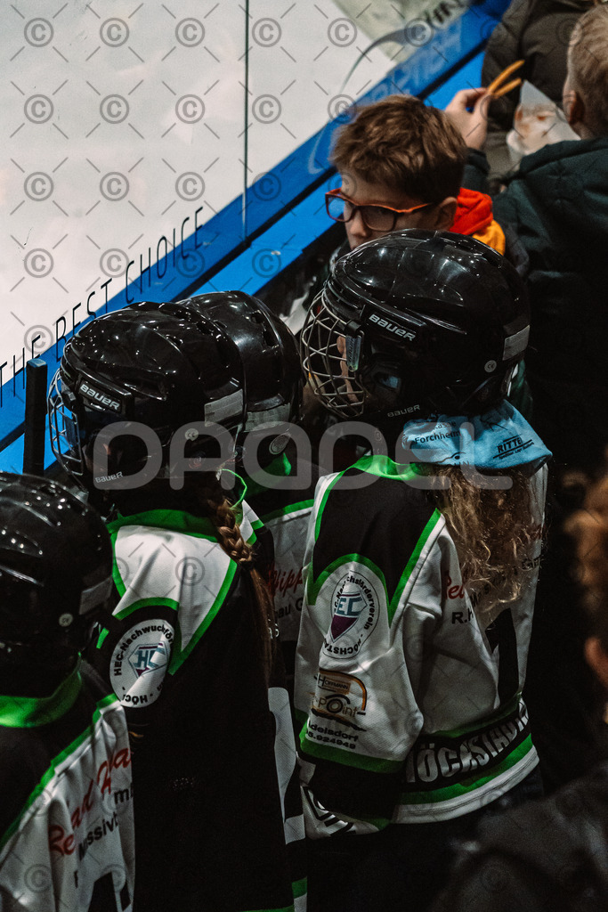 Alligators_vs_Erding_12_12_2025-066 | Höchstadt Alligators Fotogalerie: Eishockey-Action aus Franken. Professionelle Spielfotos, Portraits & Stadionbilder zum Download. Jetzt entdecken! - Realisiert mit Pictrs.com