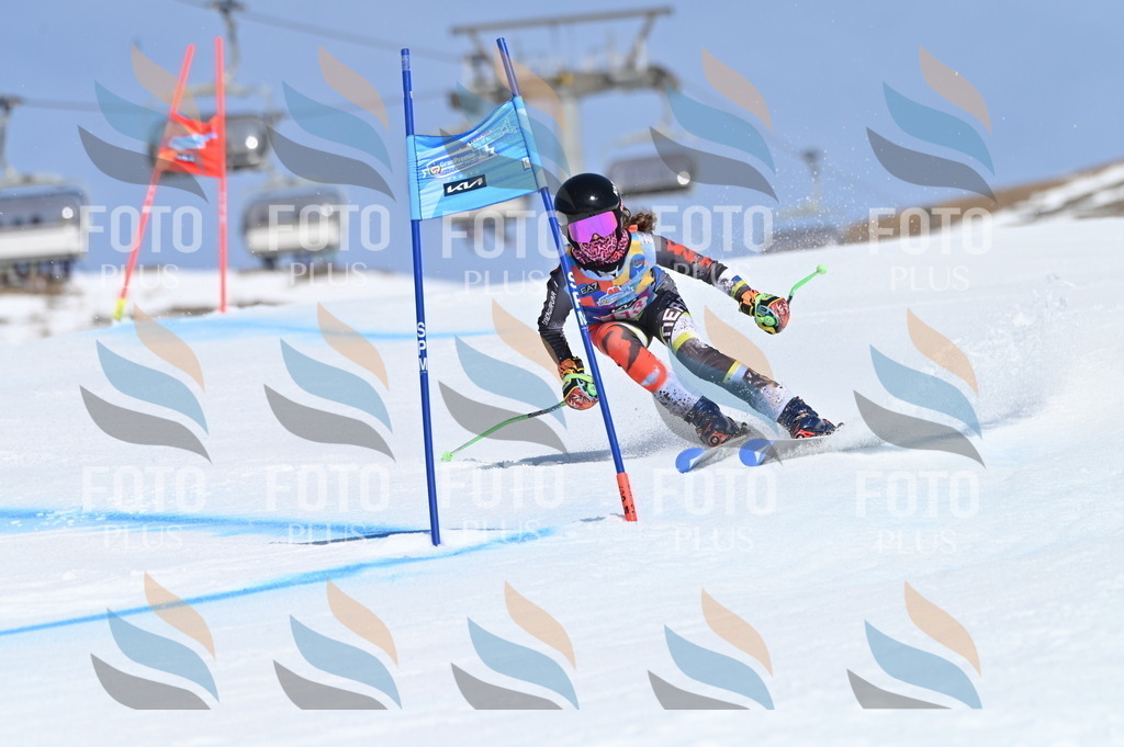 BGV_9679 | holidayphoto