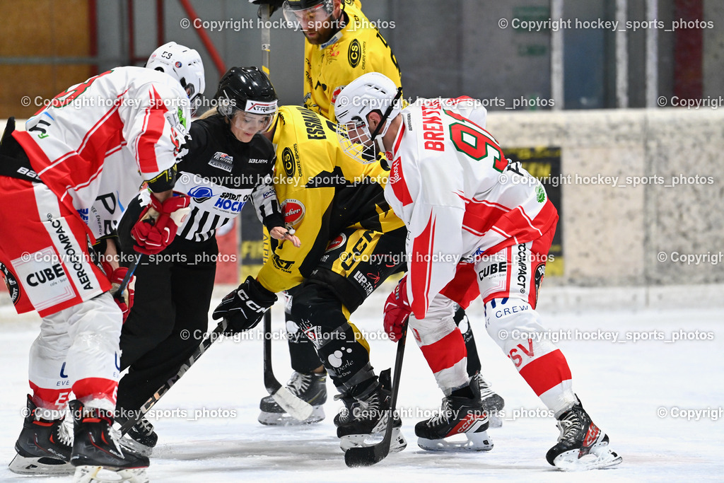 EC Spittal Hornets vs. ESV Ferlach 16.12.2023 | Klemm Anja Referee, #9 Essmann Kevin, #91 Brenter Manuel, #38 Zorec Marco