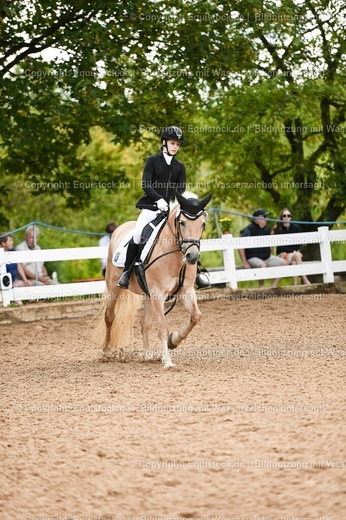 20230716_10-1_Reiter-WB Schritt - Trab - Galopp_0225 | equistock