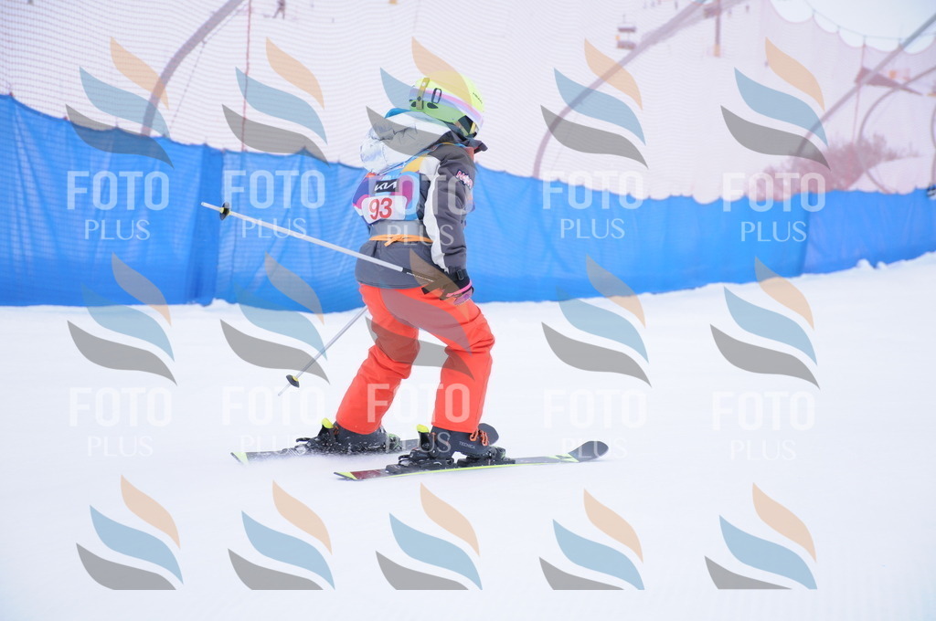 DSC_8266 | holidayphoto