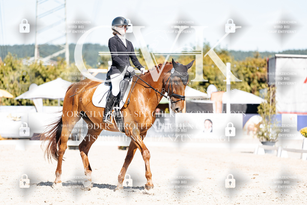 CK908709 | Turnierfotografie Pferdefotografie Trier Rheinland-Pfalz Pferdesport Reitsport Tierfotografie Sportfotografie Pferdevideo Pferdevideografie Equestrianvideography equestrianphotography  - Realisiert mit Pictrs.com