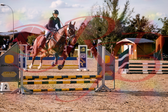 2026_10_03_Siefer-Hof_155538_Z81_74851551 | Professionelle Reitsport-, Turnier- und Eventfotografie von Robert Broda. Galerien mit ausgewählten und bearbeiteten Bildern direkt online ansehen und bestellen.