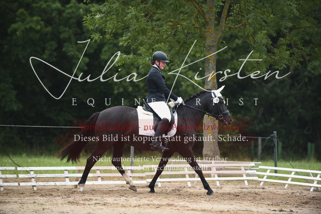 DSC_9981 | Pferde- und Turnierfotografie in Westsachsen. Pferdeportraits, Auftragszeichnungen und intuitive Kunst.