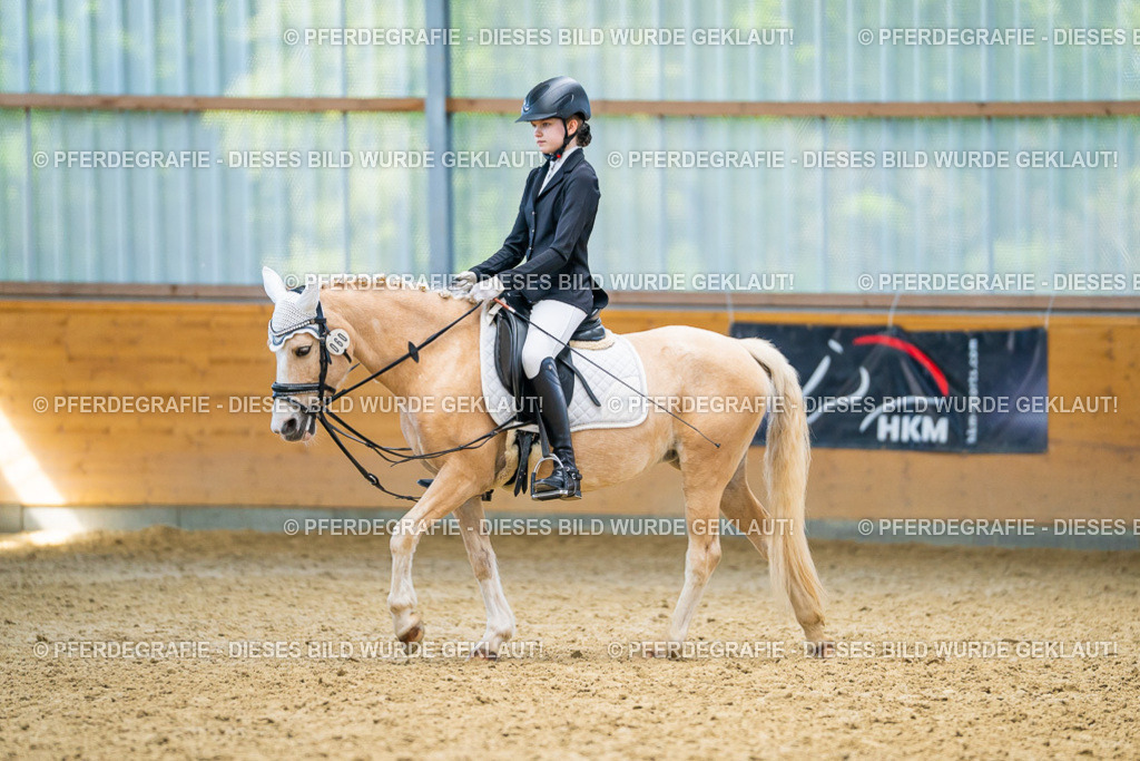 DSC08624 | Pferdegrafie