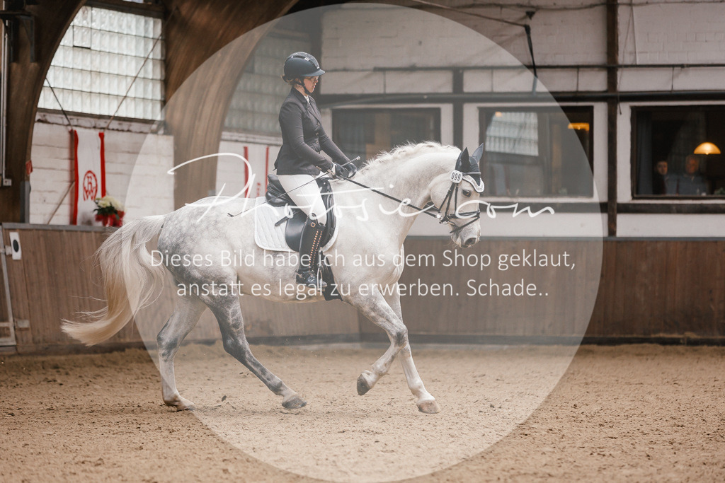 3I6A7354 | Stimmungsvolle Portraits und Reitsportfotografie im Ruhrgebiet und im Münsterland.

Pferdefotografie, Hundefotografie, Tierfotografie, Reportagen, Portraits von Tier und Mensch, Turnierfotografie in Bochum, Recklinghausen, Marl, Haltern am See, Dülmen.. - Realisiert mit Pictrs.com