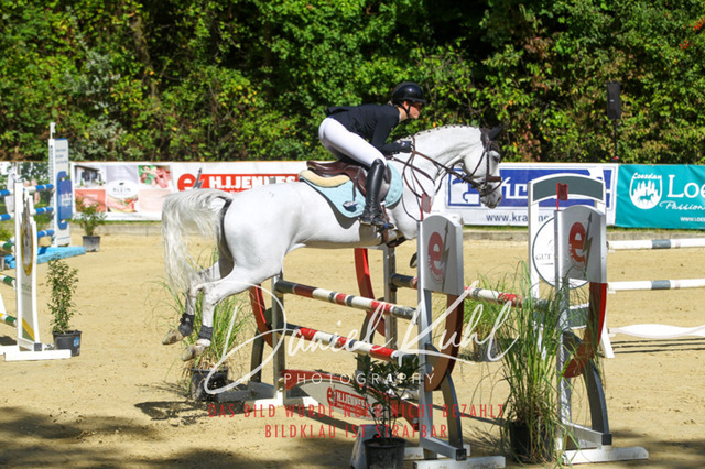 DKP43253 | Turniersportfotografie; Pferdefotografie; Dressurfotografie