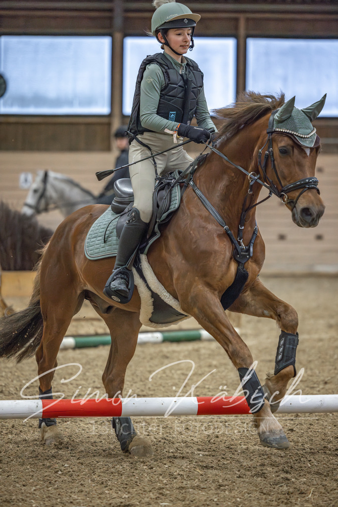 20260222-_3LI0769 | Tierfotografie Pferde, Hunde, Katzen, Haustiere.
Turnierfotografie Reitturniere, Reiten, Springreiten, Dressur in Hanau, dem Main-Kinzig-Kreis und dem Rhein-Main- Gebiet um Frankfurt
