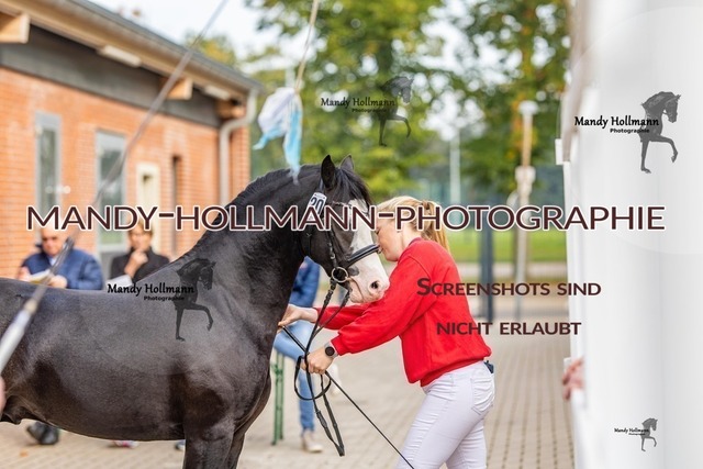 19-15 | mandyhollmannphotographie