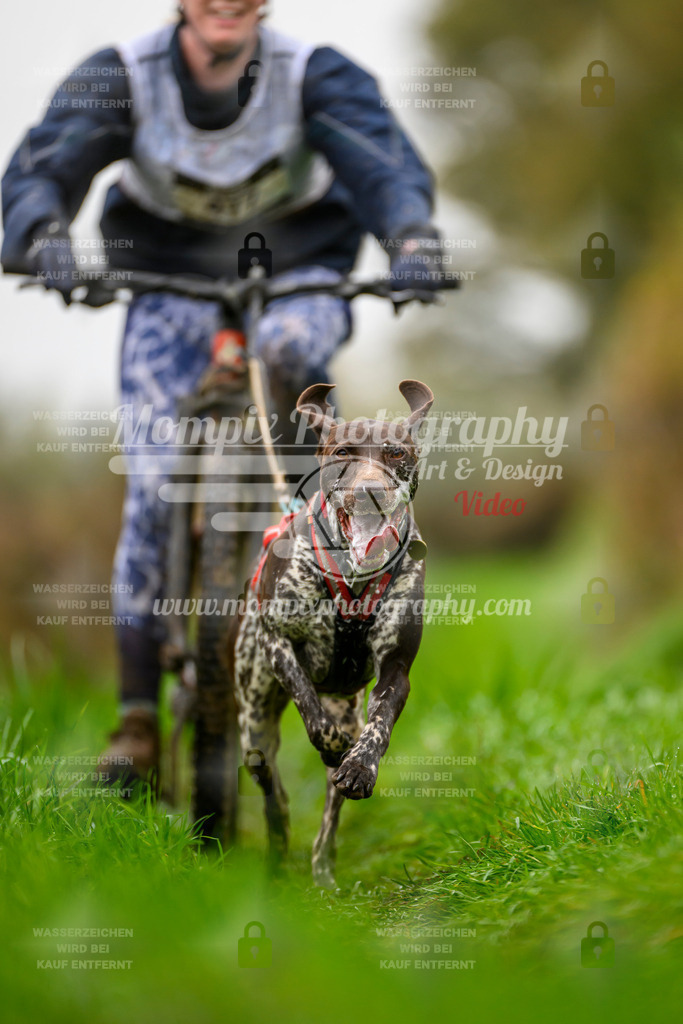 MompixPhotography_20TSB_E8_Bike-122 | PayLife