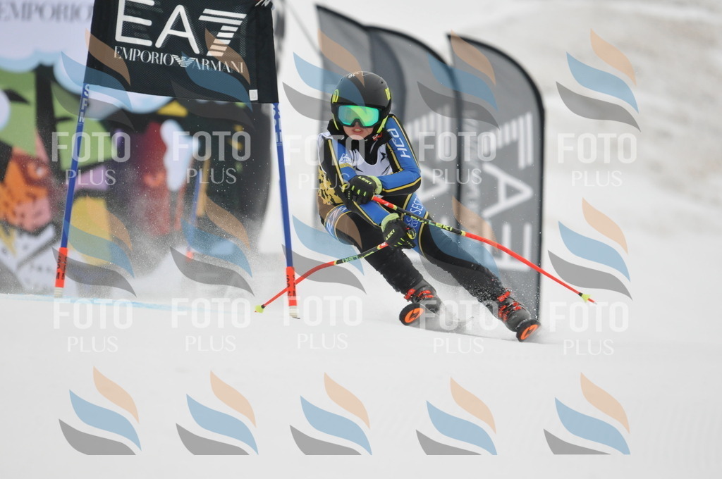 DSC_8536 | holidayphoto