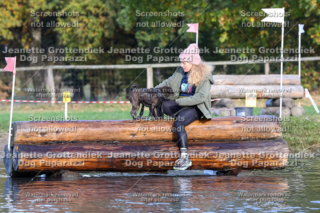 Dog Paparazzi - Strongdog 10-25-8589 | Dog Paparazzi Jeanette Grottendiek Fotografie & Videografie - Realisiert mit Pictrs.com