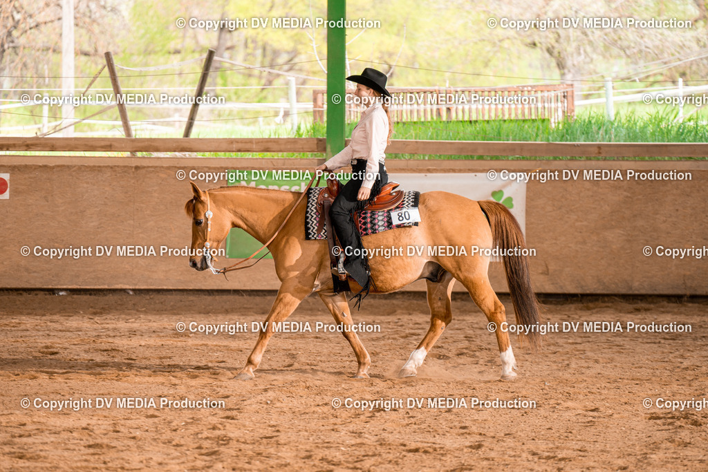 BA300909 | dv-media-shop - Realisiert mit Pictrs.com