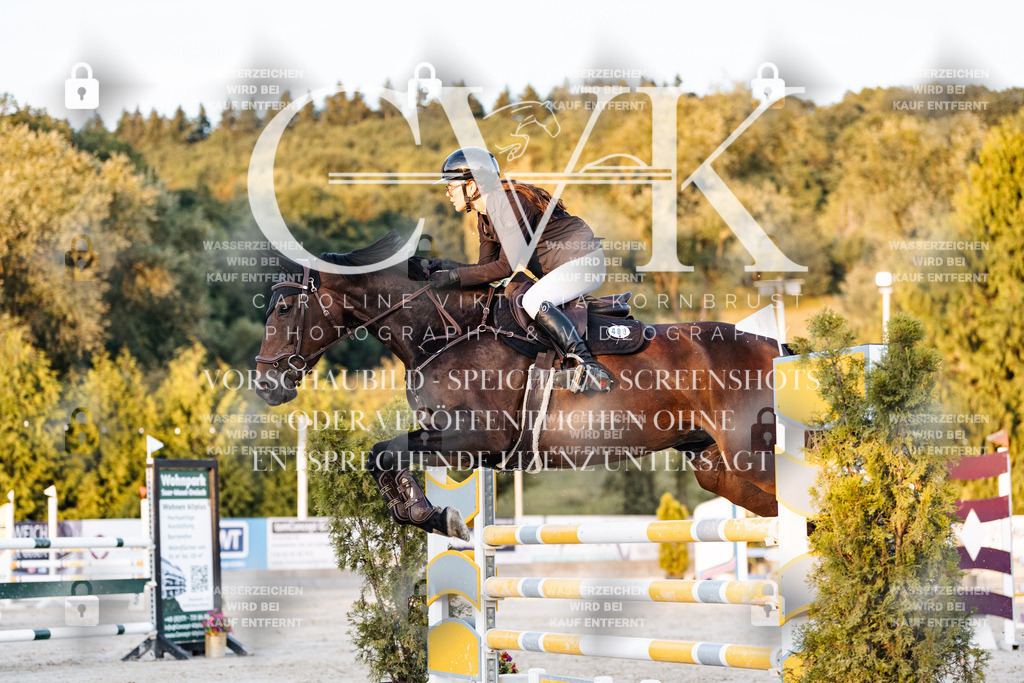 CK901220 | Turnierfotografie Pferdefotografie Trier Rheinland-Pfalz Pferdesport Reitsport Tierfotografie Sportfotografie Pferdevideo Pferdevideografie Equestrianvideography equestrianphotography  - Realisiert mit Pictrs.com