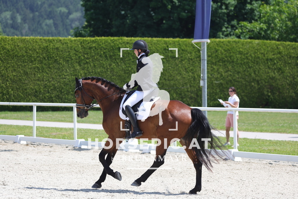 0P6A5838 | Willkommen bei Brunnmayr - Design & Fotografie – Ihrem Spezialisten für Reitturniere und Pferdeveranstaltungen in Oberösterreich, Salzburg und Bayern! Seit über 17 Jahren sind wir leidenschaftlich dabei.