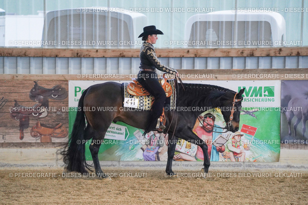 DSC09054 | Pferdegrafie