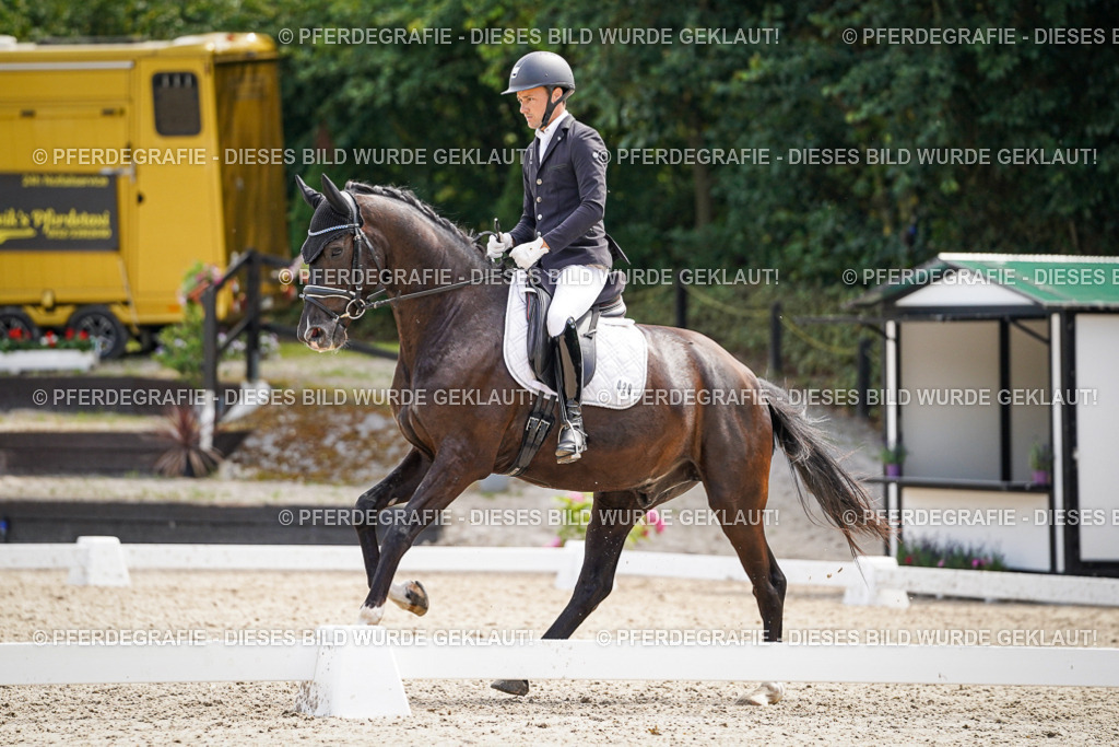 DSC00143 | Pferdegrafie