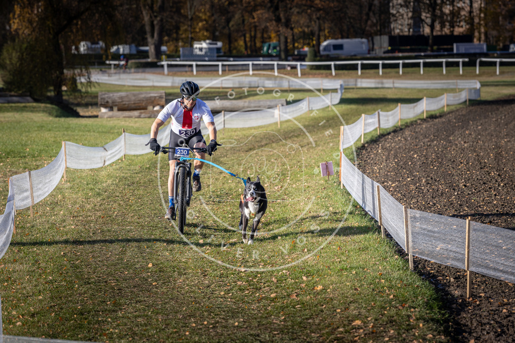 CaniXpix_DV3A3831 | Hundefotografie, Tierfotograf, Pfotenfotografie, Fotoshooting Hund, Hunde Portrait, Hundesport, Hundeportraits, Heideshooting, Hunde, Sportfotograf, Hundefotograf, Turnierhundsport, THS,  - Realisiert mit Pictrs.com