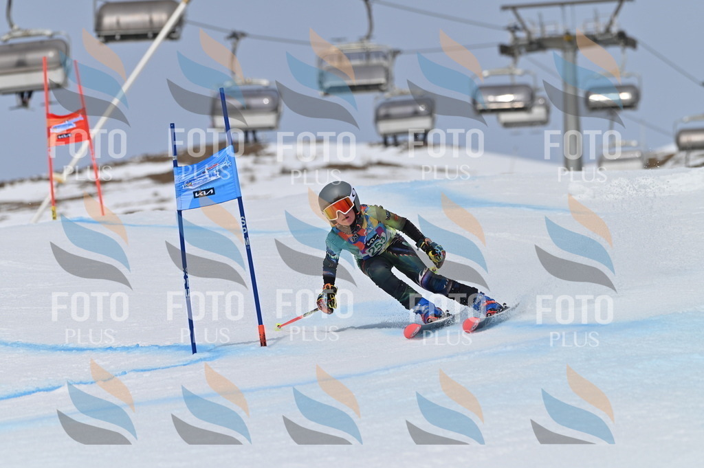 BGV_5014 | holidayphoto