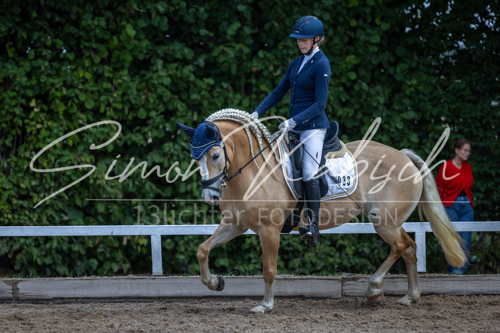 20260905-_3LI8230 | Tierfotografie Pferde, Hunde, Katzen, Haustiere.
Turnierfotografie Reitturniere, Reiten, Springreiten, Dressur in Hanau, dem Main-Kinzig-Kreis und dem Rhein-Main- Gebiet um Frankfurt