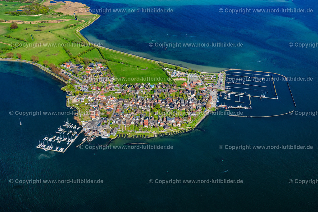 Maasholm_Schlei_ELS_6583010524 | MAASHOLM 01.05.2024 Ortsansicht mit den Segelhäfen am Ufer der Schlei nähe der Meeres-Küste der Ostsee in Maasholm im Bundesland Schleswig-Holstein. Weiterführende Informationen bei: Christoph Winter,  Ostseefjord Schlei GmbH. // Town view with the sailing ports on the seashore of the Baltic Sea in Maasholm in the state of Schleswig-Holstein. Further information at: Christoph Winter,  Ostseefjord Schlei GmbH. Foto: Martin Elsen