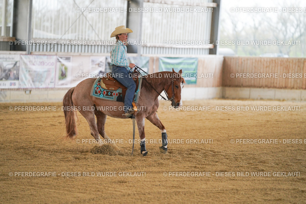 DSC08645 | Pferdegrafie