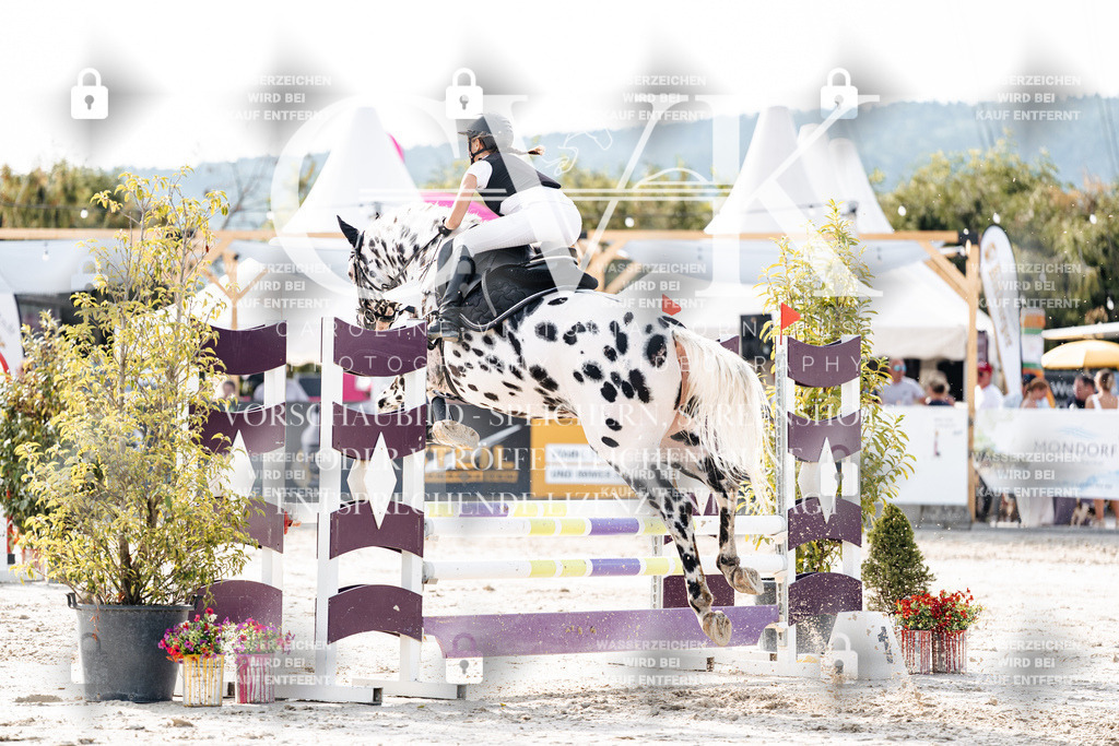 CK905954 | Turnierfotografie Pferdefotografie Trier Rheinland-Pfalz Pferdesport Reitsport Tierfotografie Sportfotografie Pferdevideo Pferdevideografie Equestrianvideography equestrianphotography  - Realisiert mit Pictrs.com