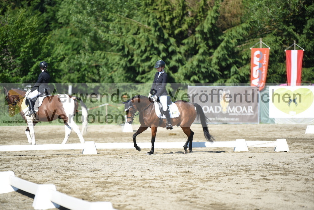 DSC_7650 | equestrian-live-com