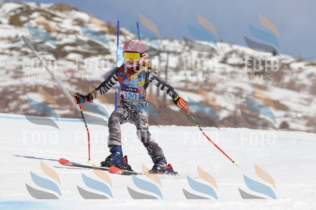 _U3G0692 | holidayphoto