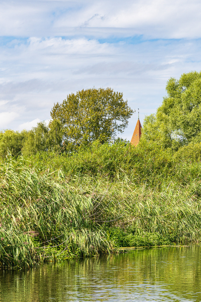 Blick über die Warnow mit Bäumen und Kirchturmspitze nahe der Stadt Schwaan | Blick über die Warnow mit Bäumen und Kirchturmspitze nahe der Stadt Schwaan.