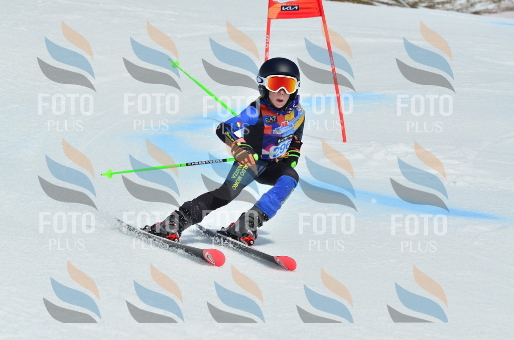 _ELE2132 | holidayphoto