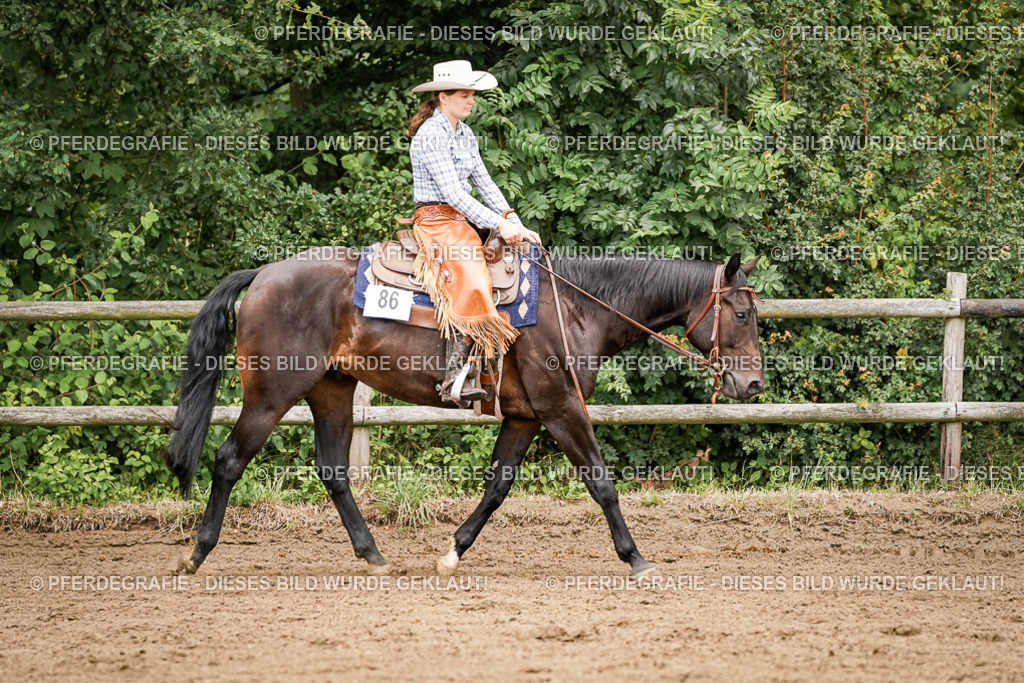 DSC08198 | Pferdegrafie