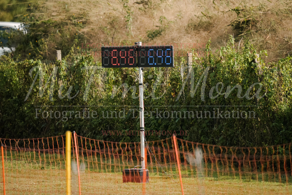 20250928_Hunderennen-325 | MuT (Mensch und Tier) mit Mona - Fotografie und Tierkommunikation - Realisiert mit Pictrs.com