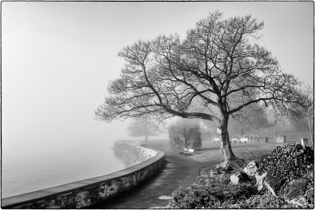 Transition | Winteraufnahme mit Bäumen im Nebel im Wichterheer Park in Oberhofen.
-----------------------------------------------
Winter shot with trees in the fog in Wichterheer Park in Oberhofen.
-----------------------------------------------
Dieser Druck ist in einer limitierten Auflage von 5 Exemplaren erhältlich. 
This print is available in a limited edition of 5 copies. 
http://art.hess.photography/5-transition.html - Realisiert mit Pictrs.com