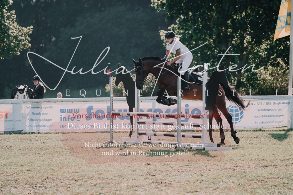 DSC_4610 | Pferde- und Turnierfotografie in Westsachsen. Pferdeportraits, Auftragszeichnungen und intuitive Kunst.