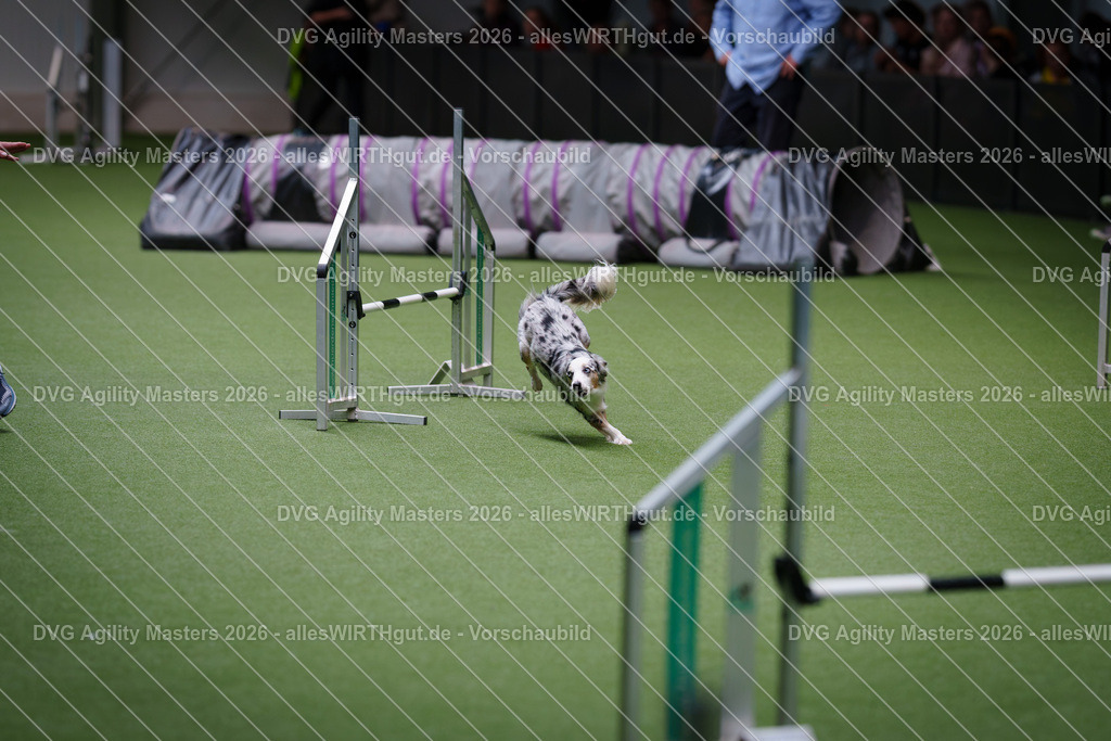 allesWIRTHgut_Tierfotografie-DVG_Agility_Masters_2026-11_15-7R505300 | Professionelle Tierfotografie in Mönchengladbach von Daniel Wirth (allesWIRTHgut). Liebevolle & natürliche Bilder von Hunden & Katzen für unvergessliche Erinnerungen.