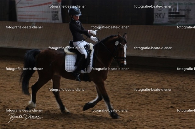 JugendTrophy0041 | Fotografie, Tiere, Hunde, Katzen, Pferde, Sportfotografie, Fotosession, Tierfotografie, Turnierfotografie, Fotografin, Fotograf - Realisiert mit Pictrs.com