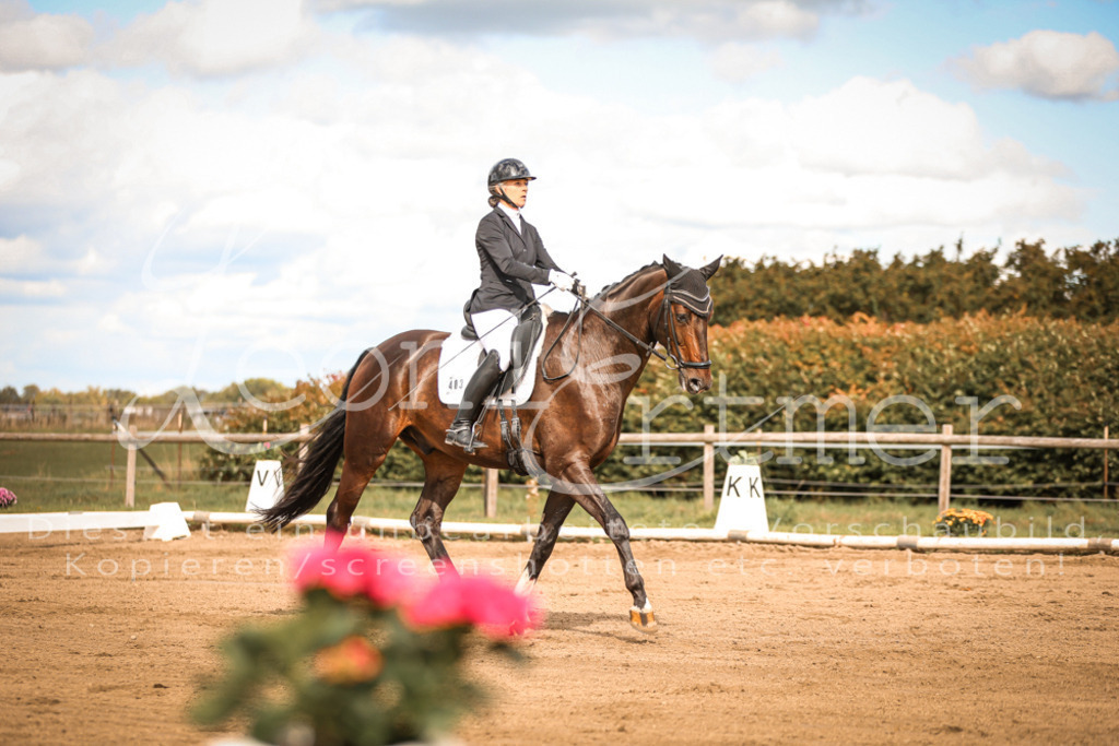 15.SaDrL00183 | Leoni Ertmer Photography - Realisiert mit Pictrs.com