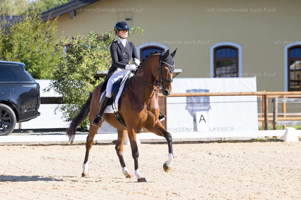 FHC2026_P07_80_17374 | working equitationturnier fotograf videograf stoibphotography marixx film working equitation deutschland reitsport turnierfotografie eventfotografie equestrian events