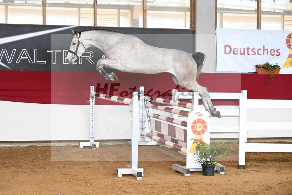 Kat-Nr. 44 Cabriola v. Cabrio v d Heffinck_ZG Hess-Mueller_7251106 | hf-fotografie - Realizzato con Pictrs.com