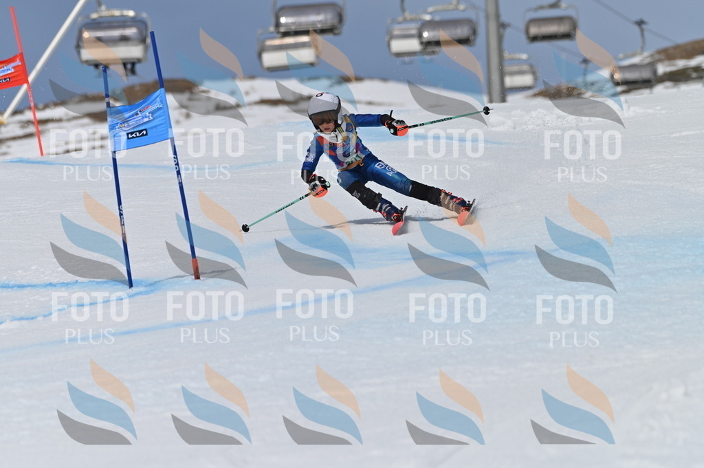 BGV_5974 | holidayphoto